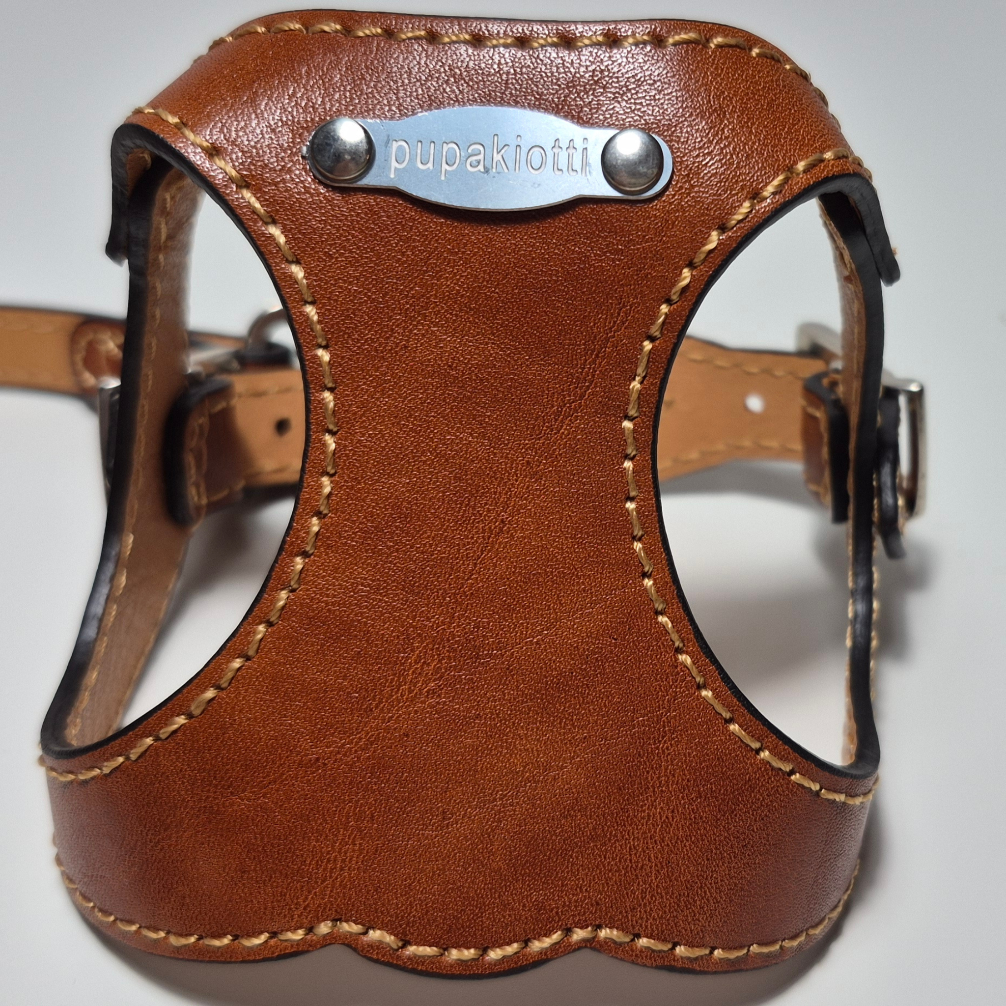 Set Pettorina e Guinzaglio in Pelle con Porta Sacchetti